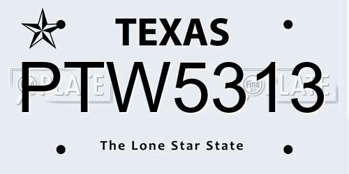 PTW5313 Texas License Plate