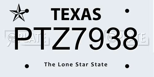 PTZ7938 Texas License Plate