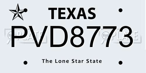 PVD8773 Texas License Plate