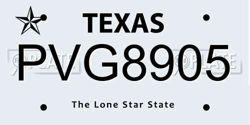 PVG8905 Texas License Plate