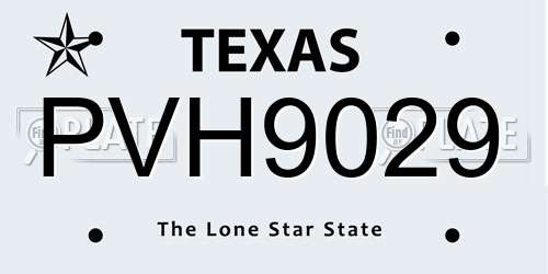 PVH9029 Texas License Plate