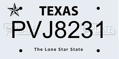PVJ8231 Texas License Plate
