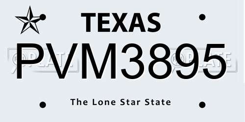 PVM3895 Texas License Plate