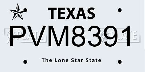 PVM8391 Texas License Plate