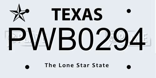 PWB0294 Texas License Plate