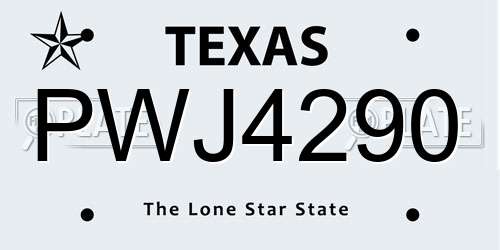 PWJ4290 Texas License Plate