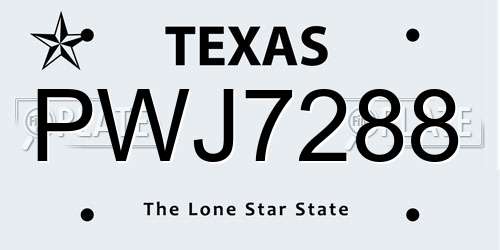 PWJ7288 Texas License Plate