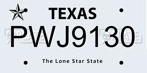 PWJ9130 Texas License Plate