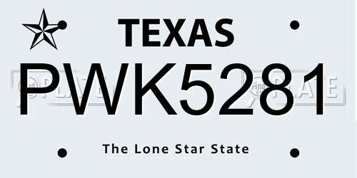 PWK5281 Texas License Plate