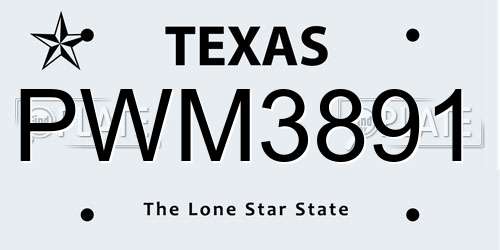 PWM3891 Texas License Plate