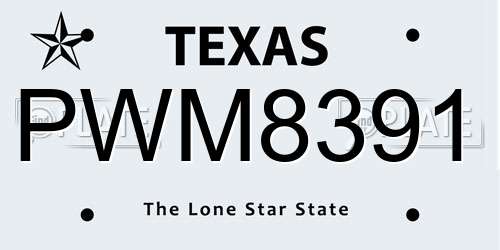 PWM8391 Texas License Plate
