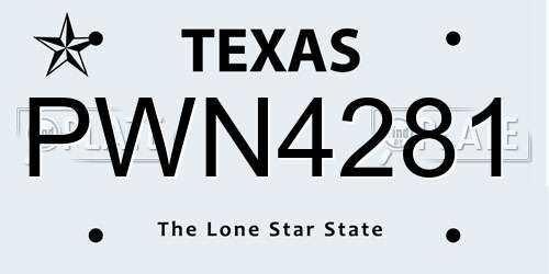 PWN4281 Texas License Plate