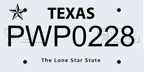 PWP0228 Texas License Plate