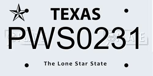 PWS0231 Texas License Plate