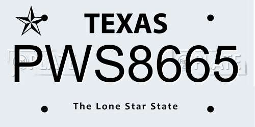 PWS8665 Texas License Plate