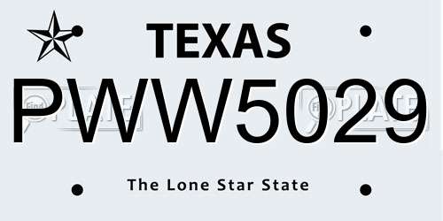 PWW5029 Texas License Plate