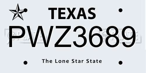 PWZ3689 Texas License Plate