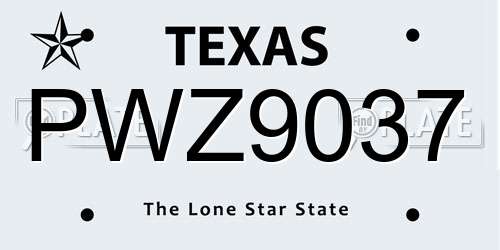 PWZ9037 Texas License Plate