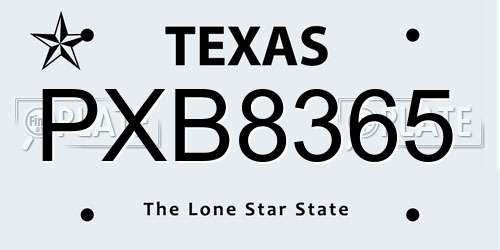 PXB8365 Texas License Plate