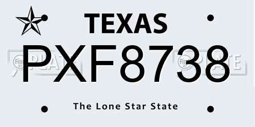 PXF8738 Texas License Plate