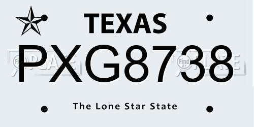 PXG8738 Texas License Plate