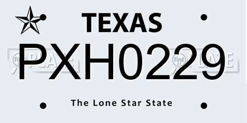 PXH0229 Texas License Plate