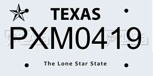 PXM0419 Texas License Plate