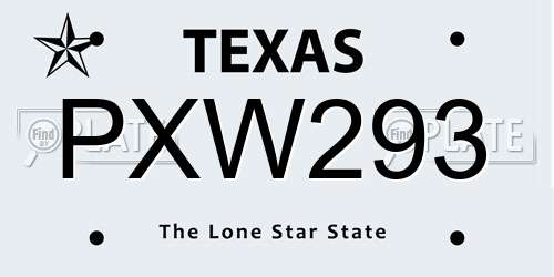 PXW293 Texas License Plate