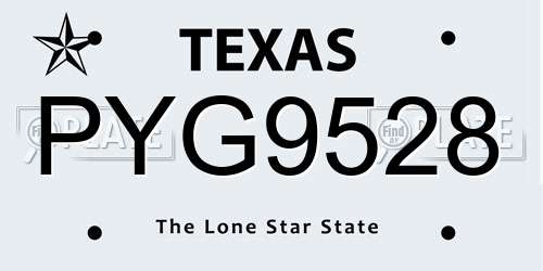 PYG9528 Texas License Plate