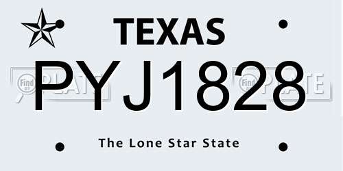 PYJ1828 Texas License Plate