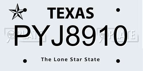 PYJ8910 Texas License Plate