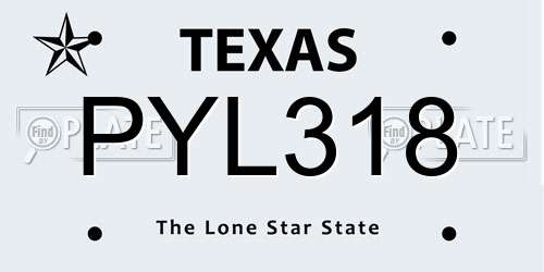 PYL318 Texas License Plate