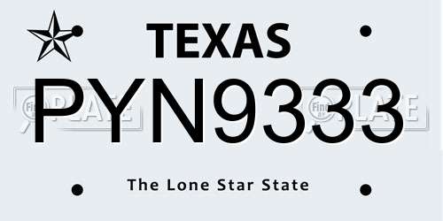 PYN9333 Texas License Plate