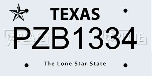 PZB1334 Texas License Plate