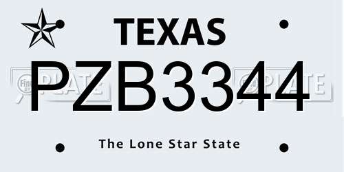 PZB3344 Texas License Plate
