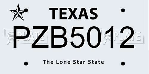 PZB5012 Texas License Plate