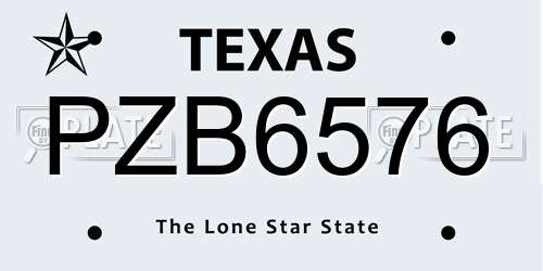 PZB6576 Texas License Plate