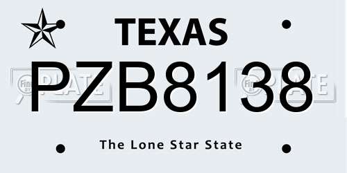 PZB8138 Texas License Plate