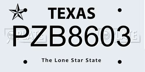 PZB8603 Texas License Plate
