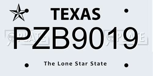 PZB9019 Texas License Plate