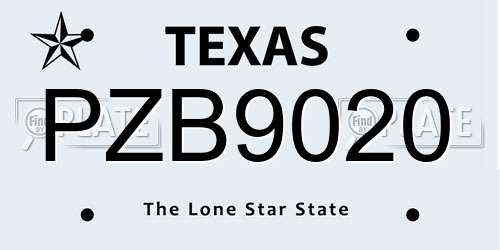 PZB9020 Texas License Plate