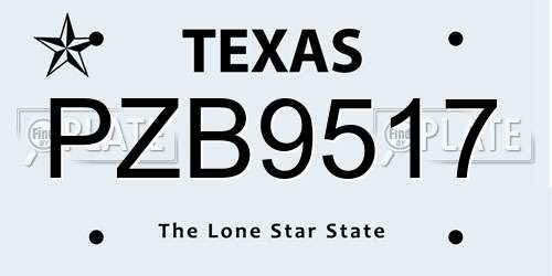 PZB9517 Texas License Plate