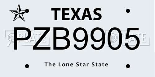 PZB9905 Texas License Plate