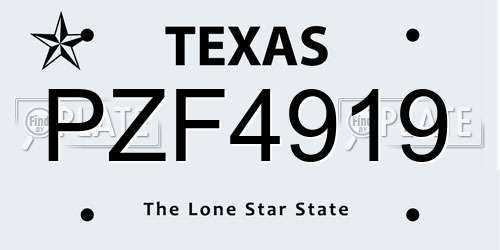 PZF4919 Texas License Plate