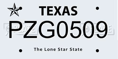 PZG0509 Texas License Plate