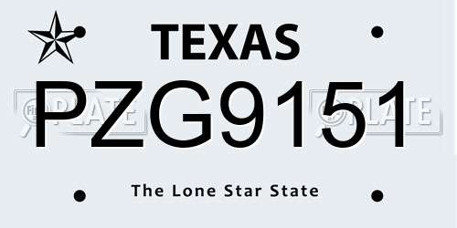 PZG9151 Texas License Plate