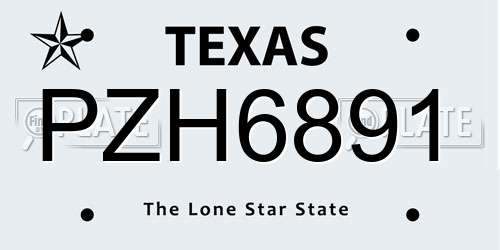 PZH6891 Texas License Plate