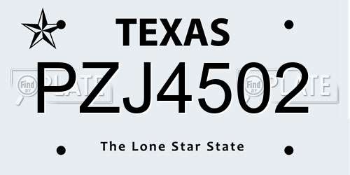 PZJ4502 Texas License Plate