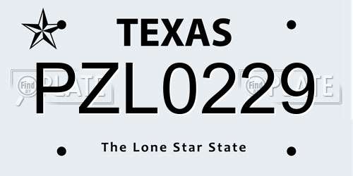 PZL0229 Texas License Plate