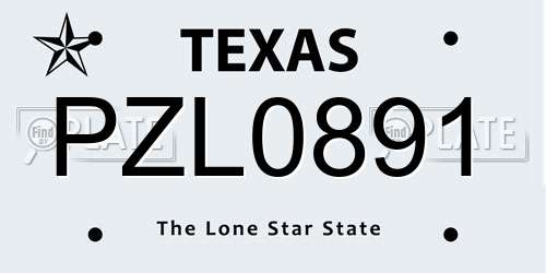 PZL0891 Texas License Plate